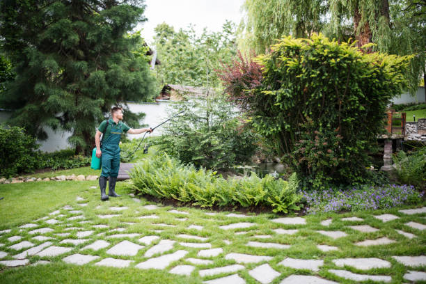 Best Pest Control Near Me  in Douglas, MI