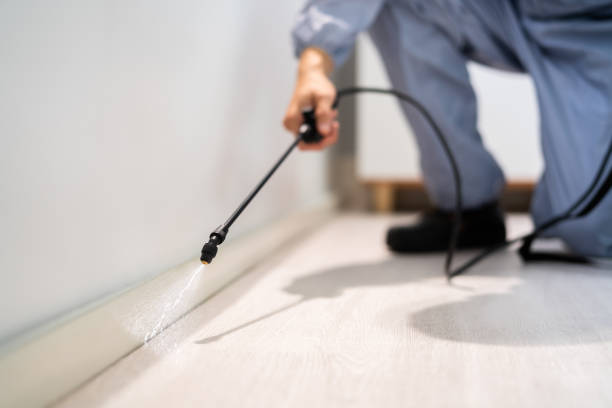 Best Pest Removal Services  in Douglas, MI