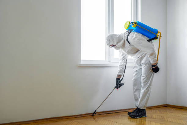 Best Pest Prevention Services  in Douglas, MI