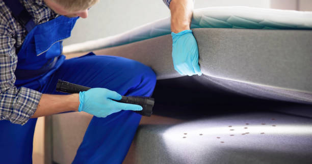Best Pest Control for Businesses  in Douglas, MI