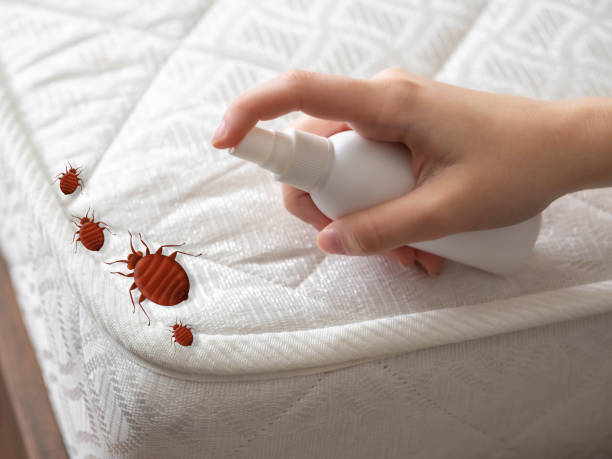 Best Insect Control  in Douglas, MI