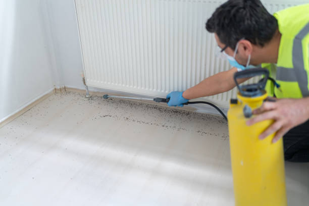 Best Ant Control Services  in Douglas, MI