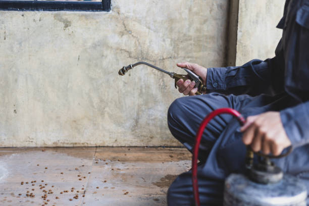 Best Affordable Pest Control Services  in Douglas, MI